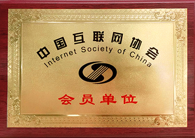 中国互联网协会奖牌